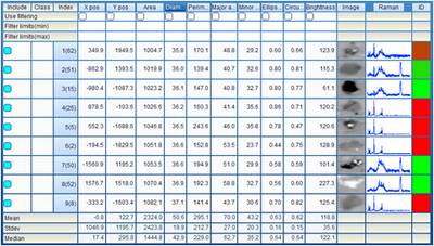 Raman Acquisition using Particle Finder