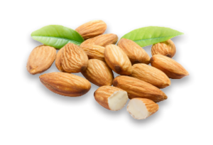 Soil Salinity Measurement in Almond Orchard