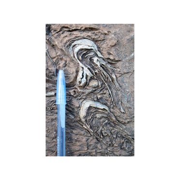 Raman spectroscopy uncovers origins of life in ancient samples
