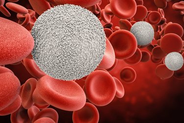 HORIBA hematology HORIBA hematology