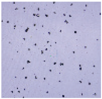 Dispersion with a Particle Disperser (Optical Image)